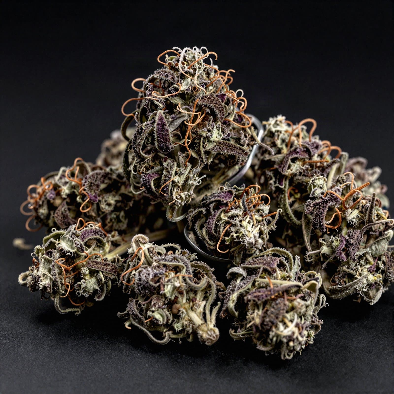 Illustration de Purple Walker, produit seul